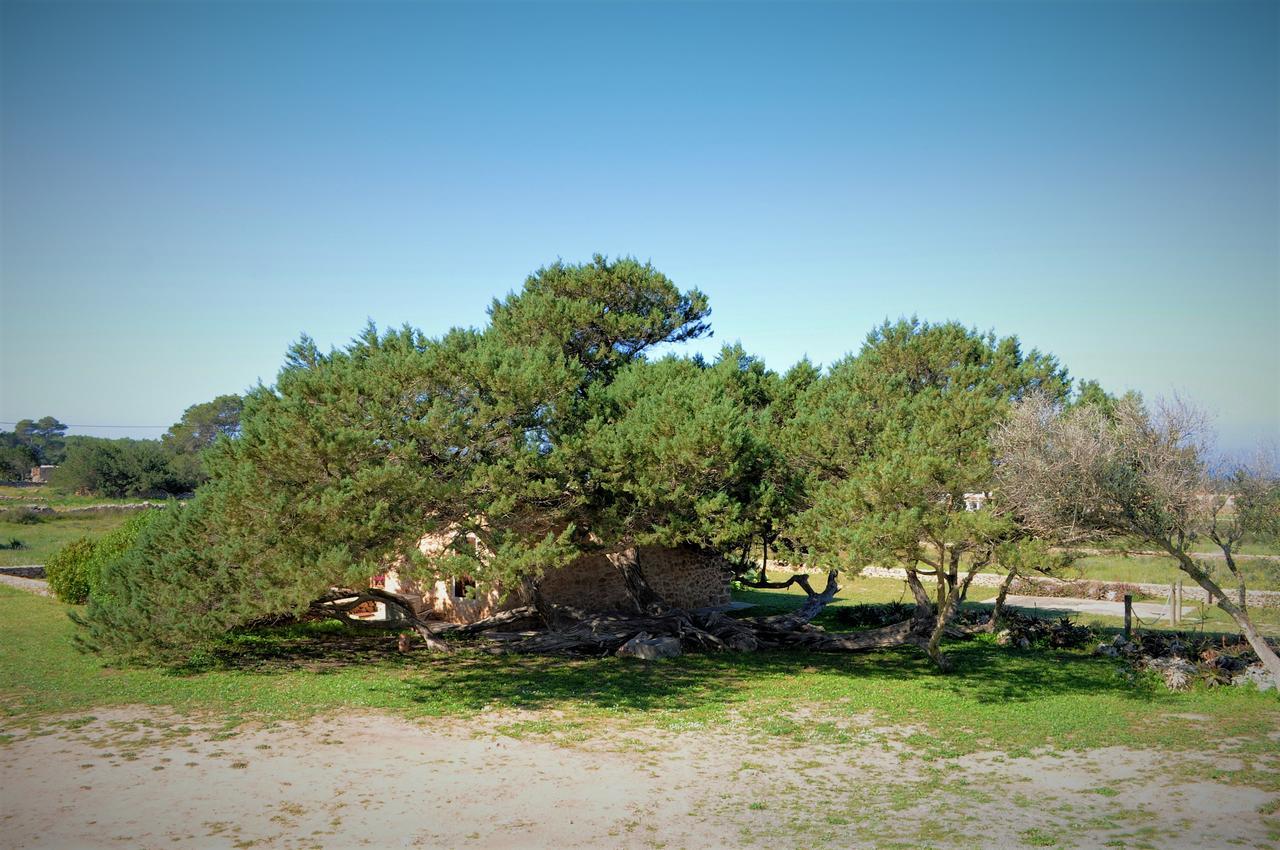 Siamoformentera Bella Villa San Francisco Javier Bagian luar foto