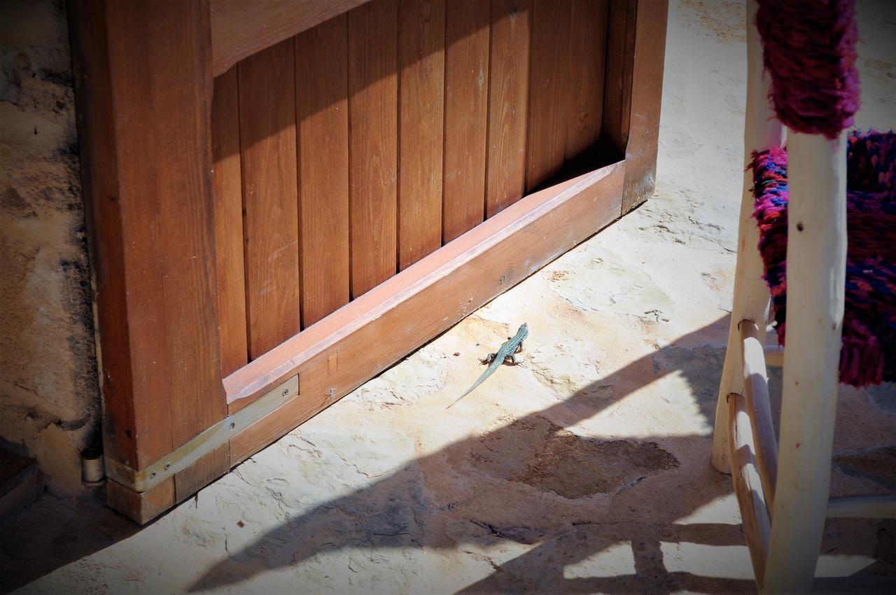 Siamoformentera Bella Villa San Francisco Javier Bagian luar foto
